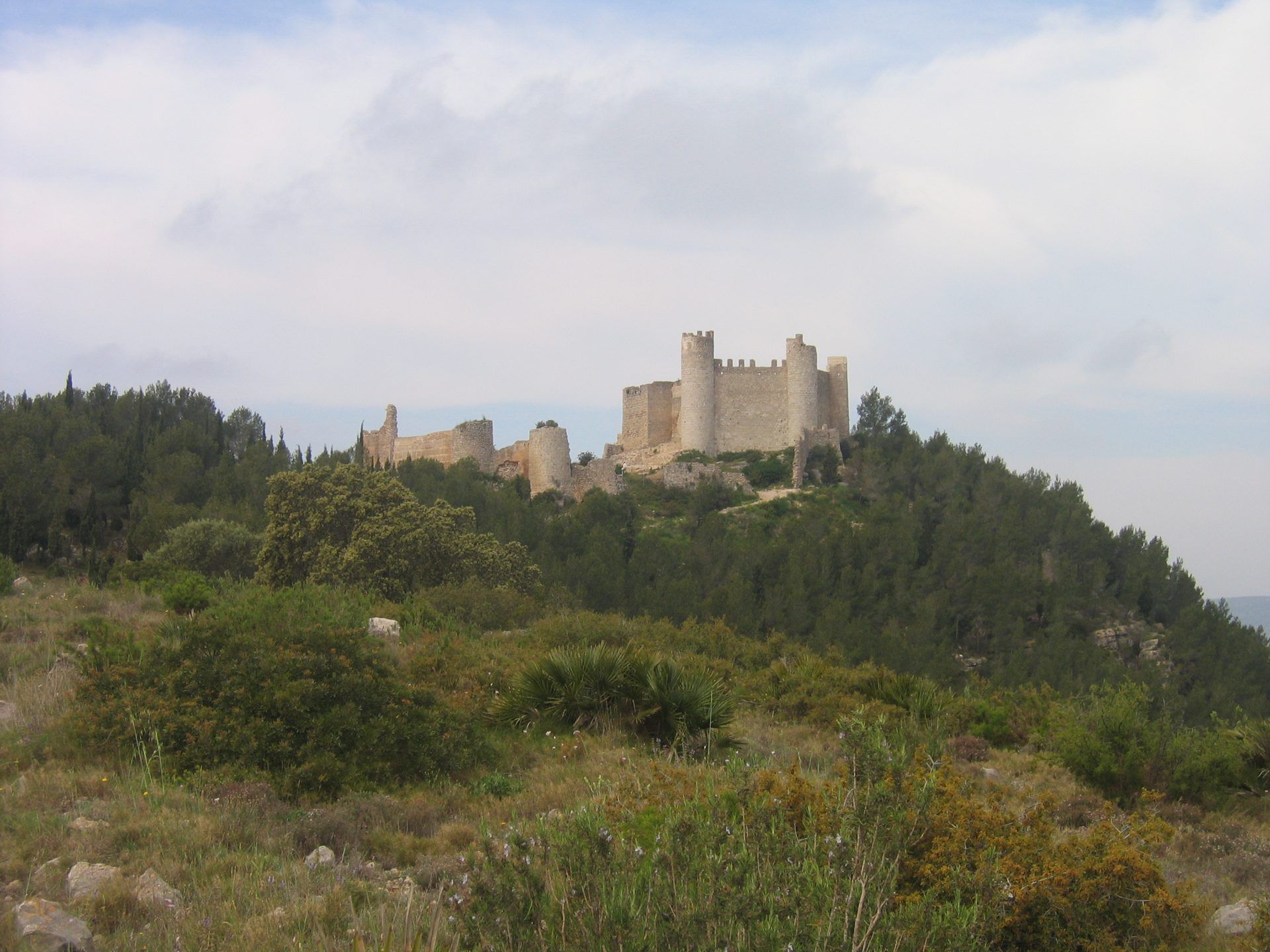 Castillo de Xivert sobre su cerro entre pinos, en Alcalà de Xivert